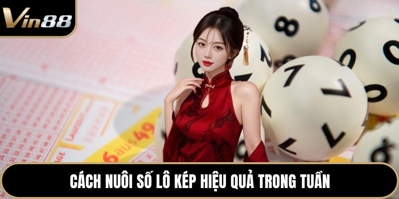 Cách nuôi số lô kép hiệu quả trong tuần