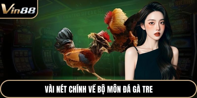 Vài nét chính về bộ môn đá gà tre